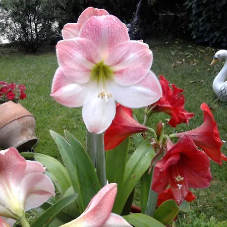 Appartamento Sofia Kalambaka