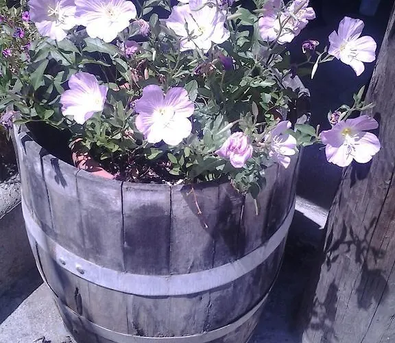 Appartamento Sofia Kalambaka