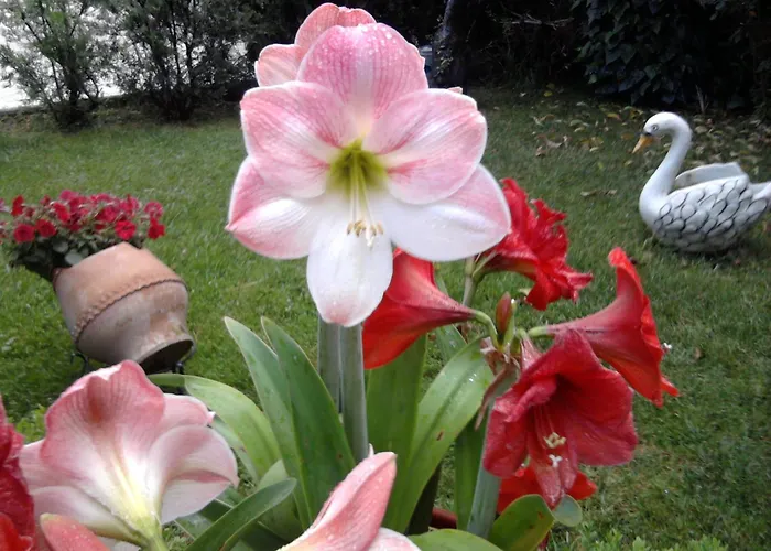 Appartamento Sofia Kalambaka